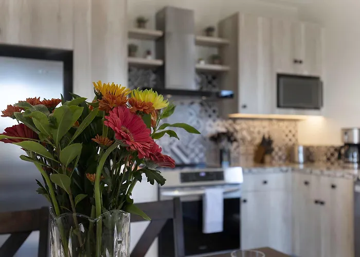 Cozy 2 Bedroom At Mavila Gym & Access Cabo San Lucas